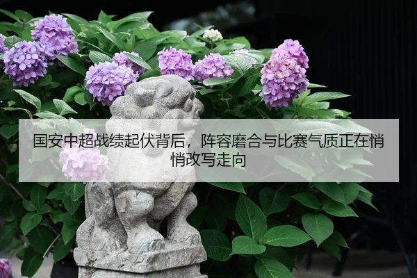 国安中超战绩起伏背后，阵容磨合与比赛气质正在悄悄改写走向